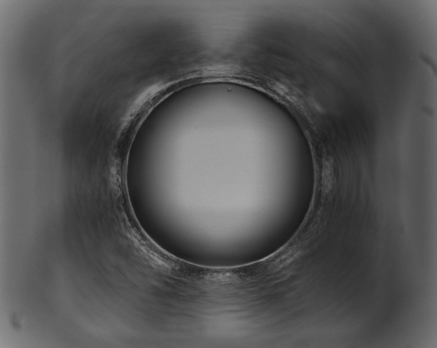 X0000101951454200807181439