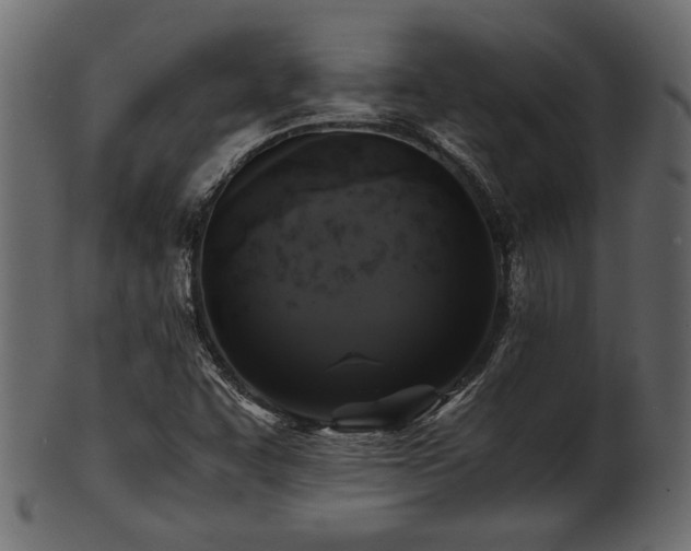 X0000101951455200807181439