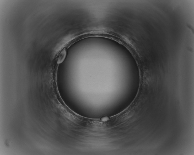 X0000101951456200807181439