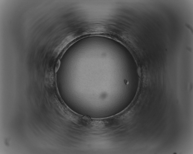 X0000101951457200807181439