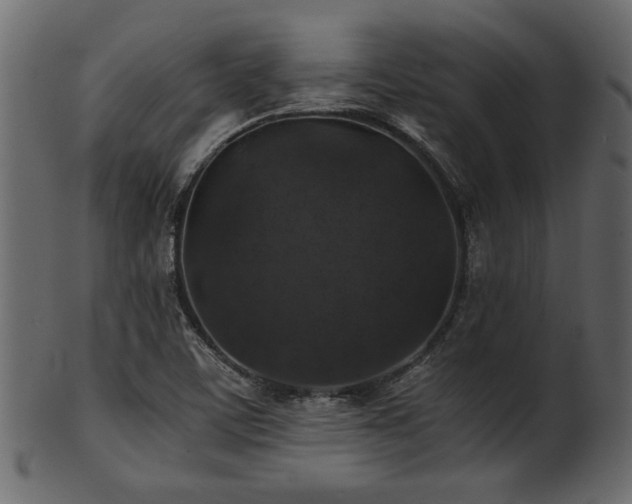 X0000101951459200807181439