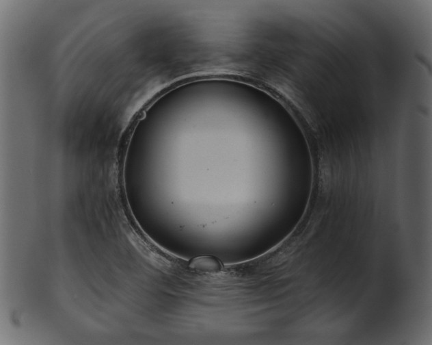 X0000101951460200807181439