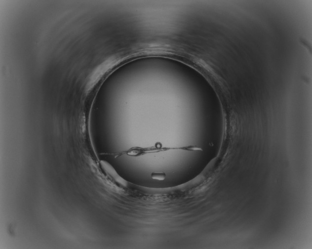 X0000101951461200807181439