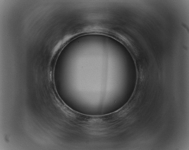 X0000101951462200807181439