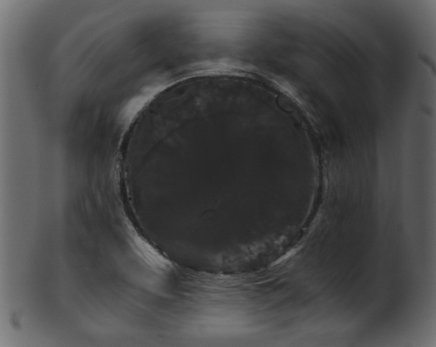 X0000101951463200807181439