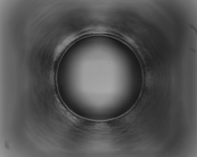 X0000101951464200807181439