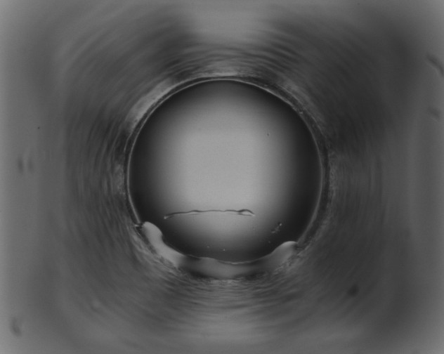 X0000101951465200807181439