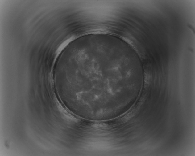 X0000101951466200807181439