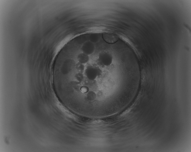 X0000101951467200807181439