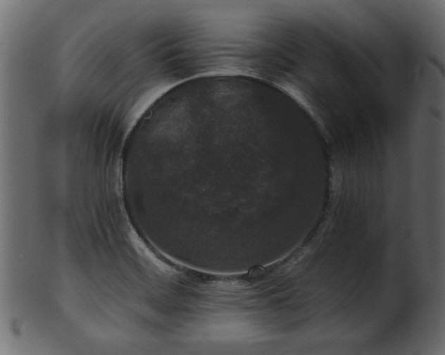 X0000101951468200807181439