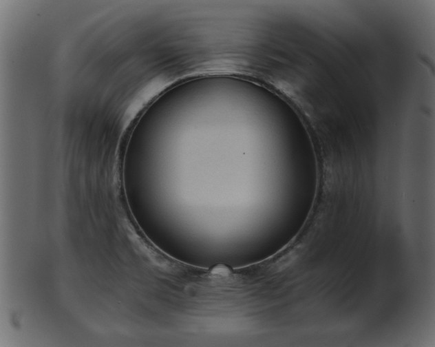 X0000101951469200807181439