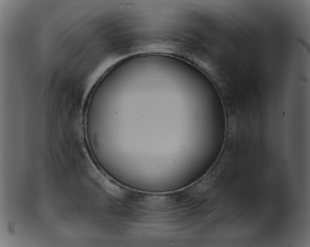 X0000101951470200807181439