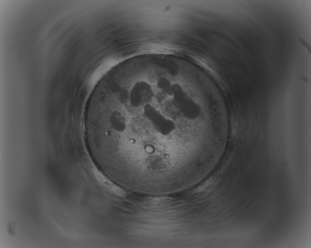 X0000101951471200807181439