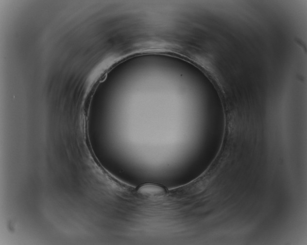 X0000101951472200807181439