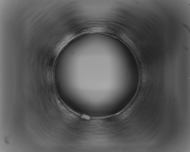 X0000101951473200807181439