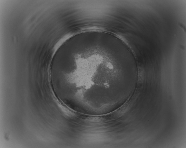 X0000101951474200807181439