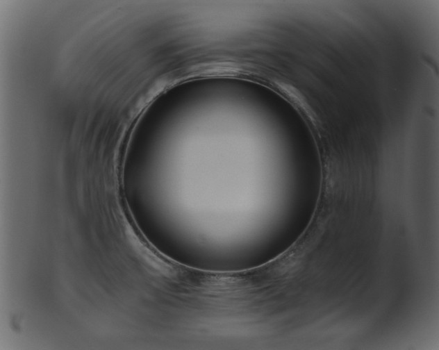 X0000101951475200807181439