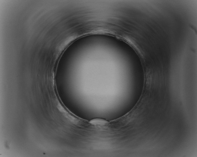 X0000101951476200807181439