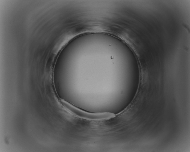 X0000101951477200807181439