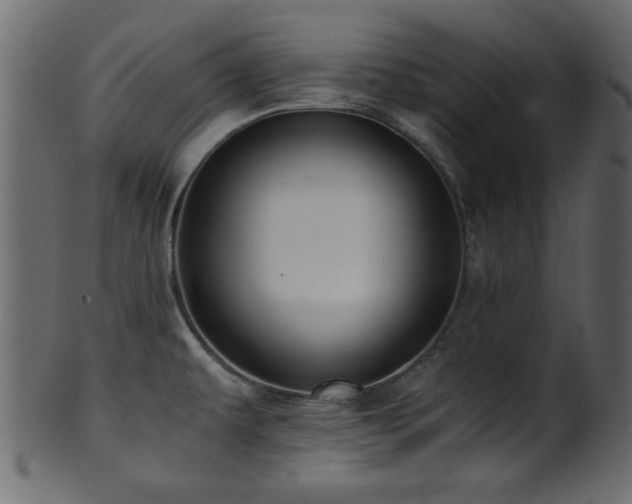 X0000101951479200807181439