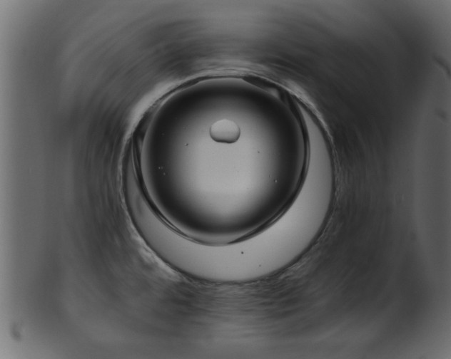 X0000101951480200807181439