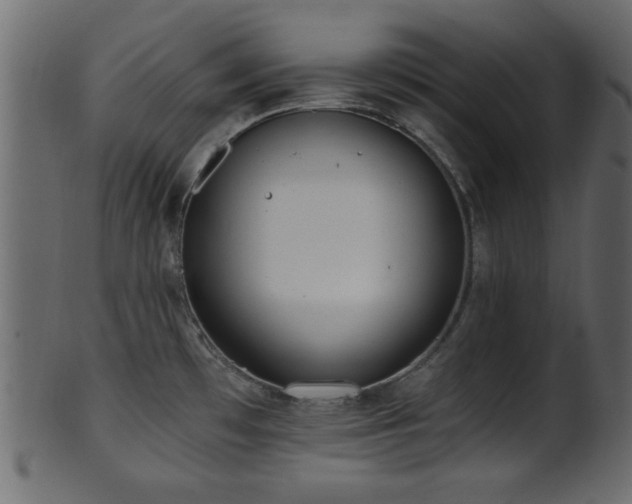 X0000101951481200807181439