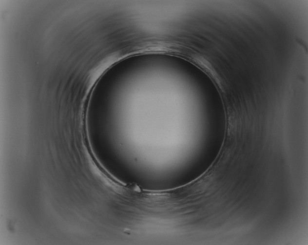 X0000101951483200807181439