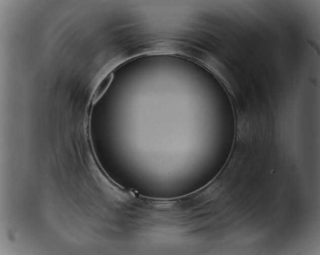 X0000101951484200807181439