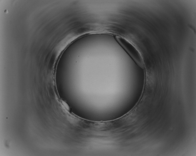 X0000101951485200807181439