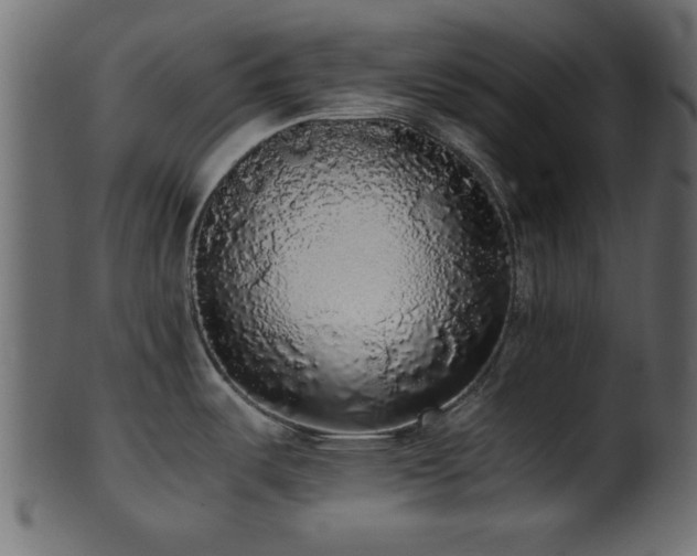 X0000101951487200807181439