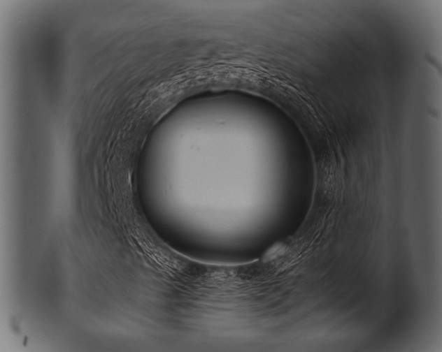 X0000101951489200807181438