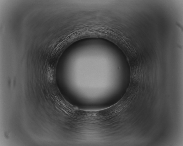 X0000101951490200807181438