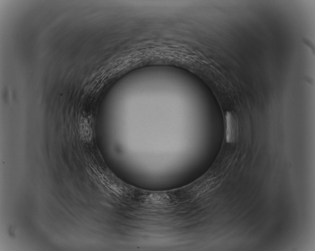 X0000101951491200807181438