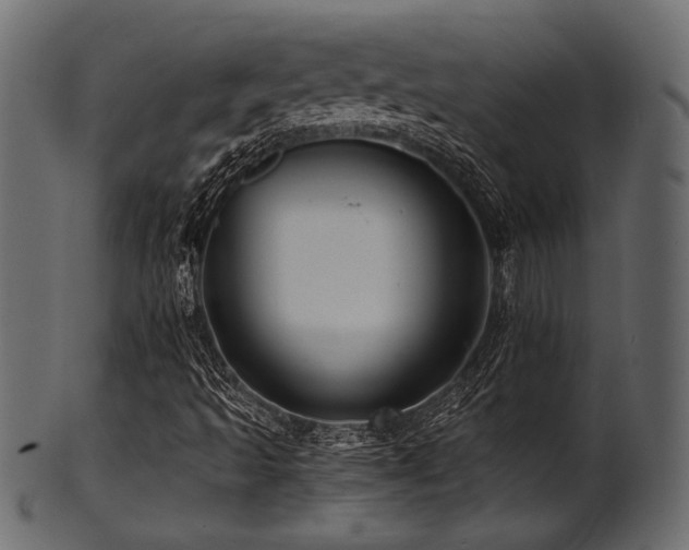 X0000101951493200807181438