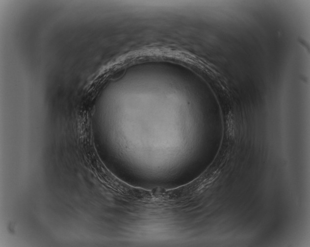 X0000101951494200807181438