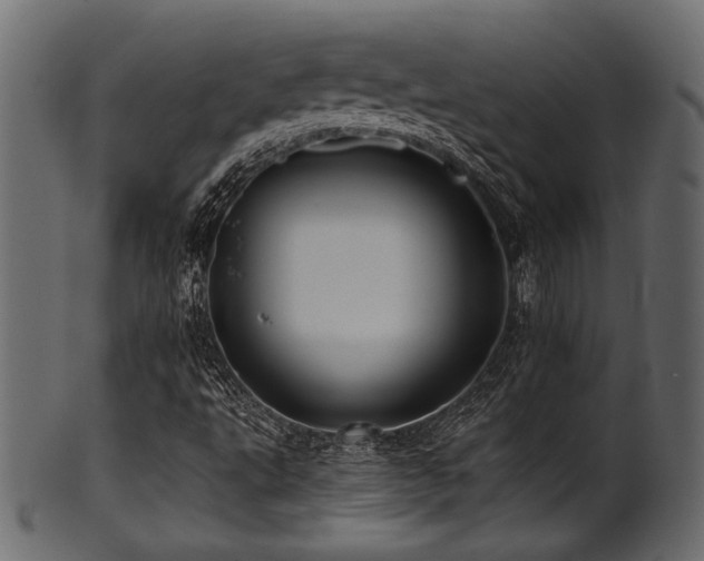 X0000101951495200807181438