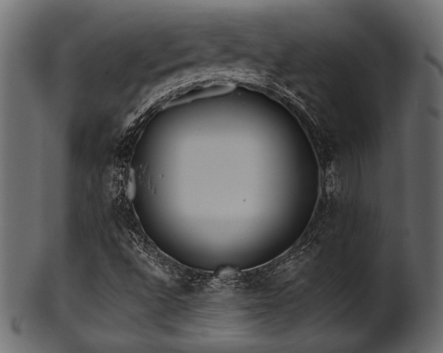 X0000101951496200807181438