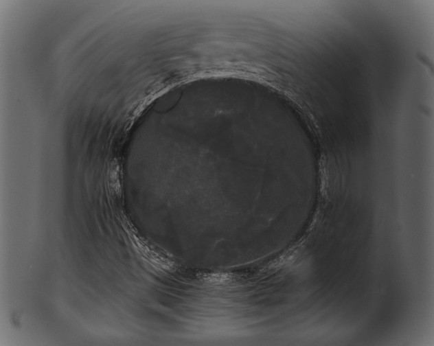 X0000101951497200807181438