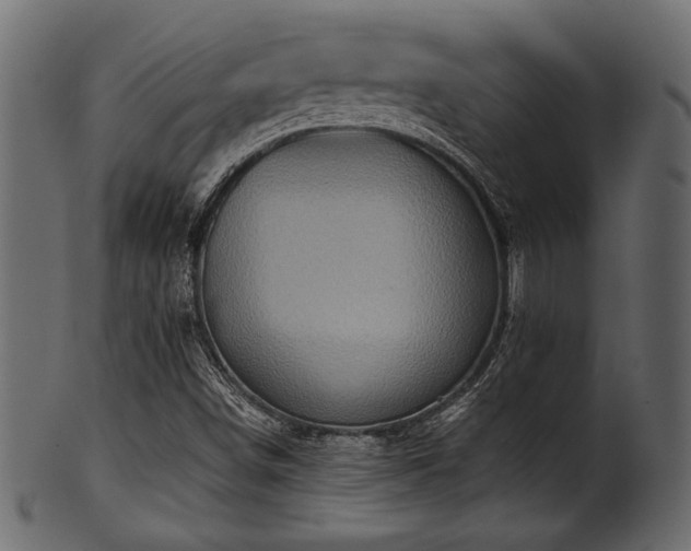 X0000101951498200807181438