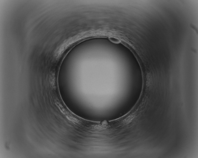 X0000101951499200807181438