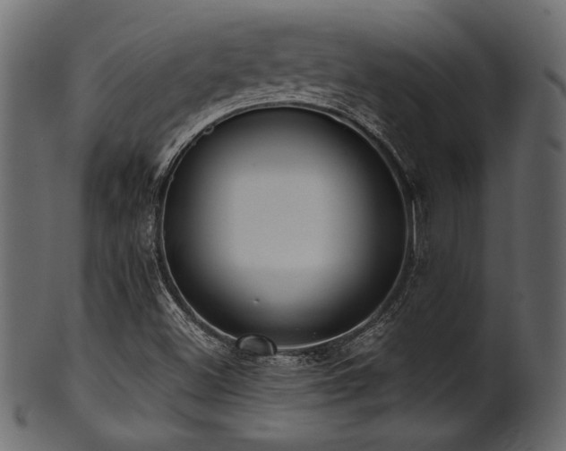 X0000101951500200807181438