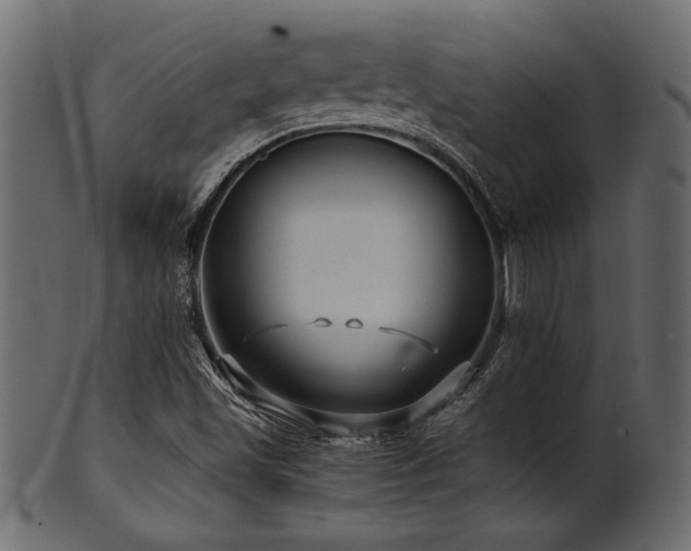 X0000101951501200807181438