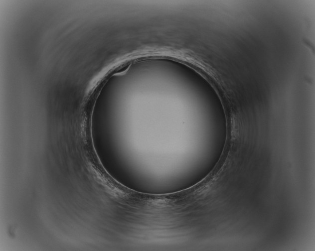 X0000101951502200807181438