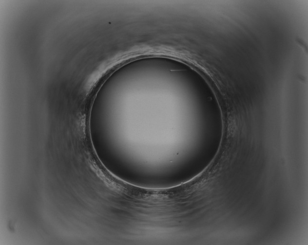 X0000101951503200807181438