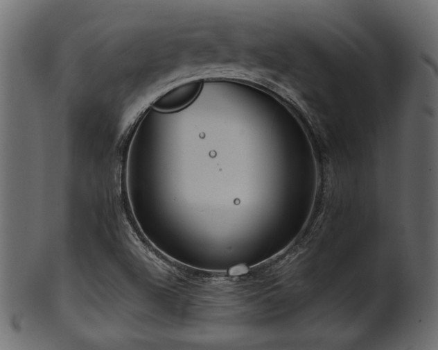 X0000101951504200807181438