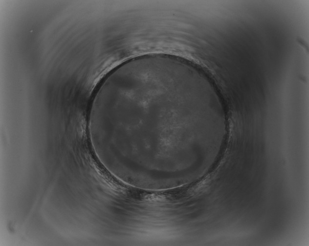 X0000101951505200807181438