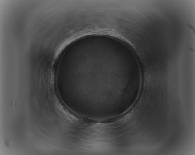 X0000101951506200807181438