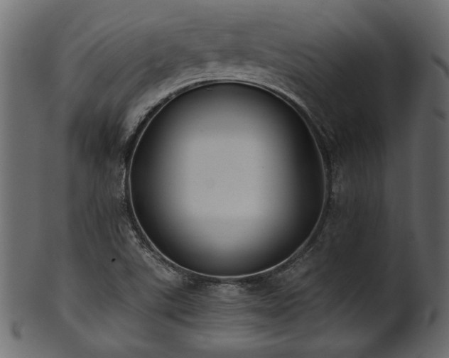 X0000101951507200807181438