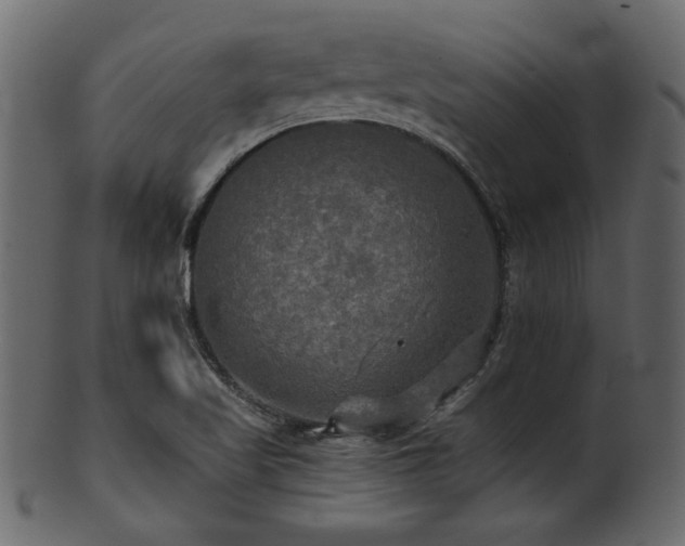 X0000101951509200807181438