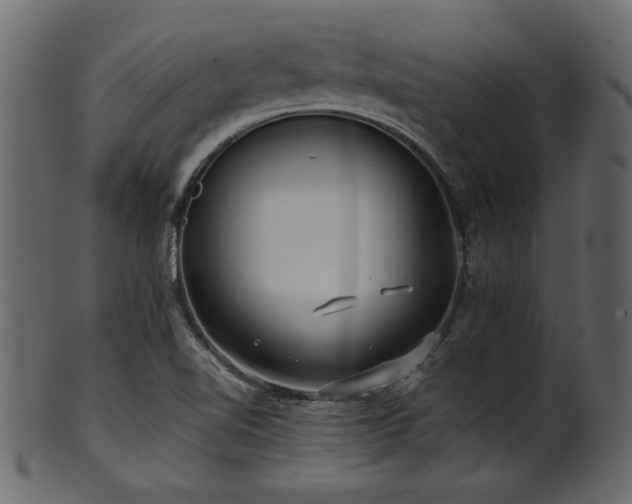 X0000101951510200807181438